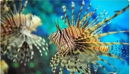 六十多家旅游景点门票半价,这8家景区免费或有优惠