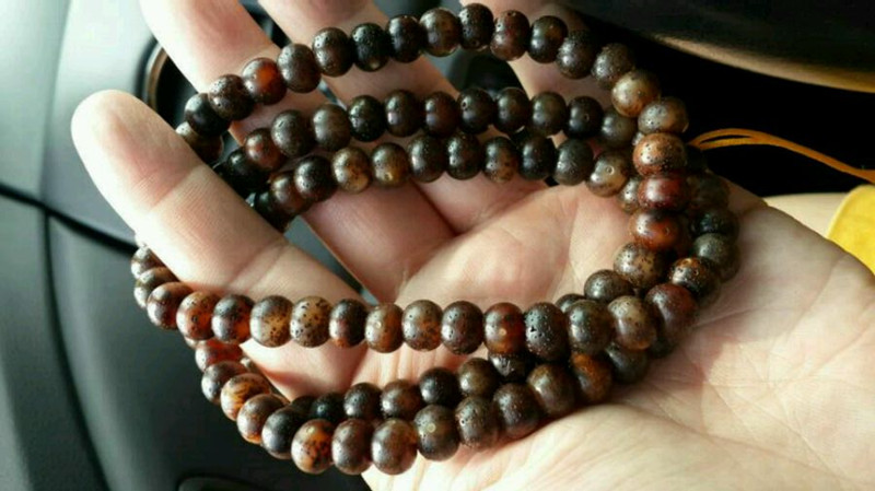 星月菩提玉化籽是什么,星月菩提玉化籽和嫩籽的区别