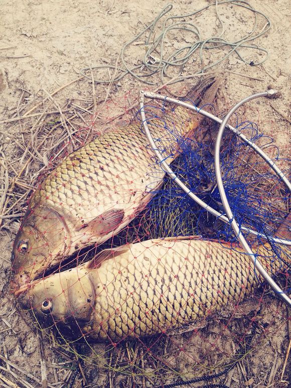 带小伙伴们去水库钓鱼,带大家一起去钓鱼