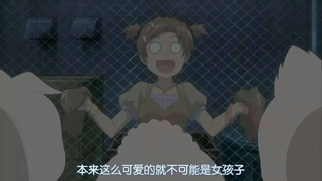 关于二次元应该知道的一些梗,有哪些被滥用的二次元梗