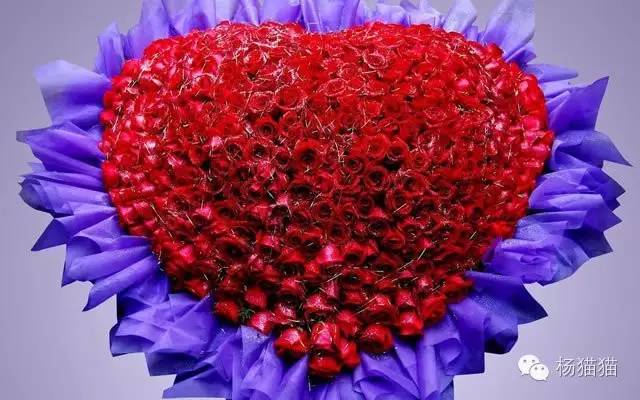 11朵戴安娜玫瑰花语,11朵粉玫瑰花的花语