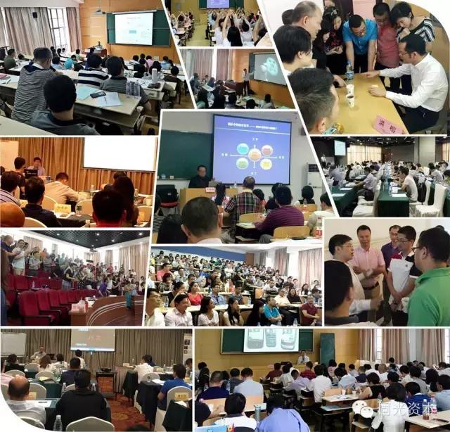 红杉资本王岑投资过什么项目,红杉资本王岑