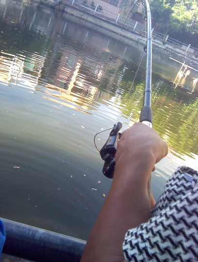 臭水塘里钓塘鲺，2分钟一条，钓多少都是扔掉