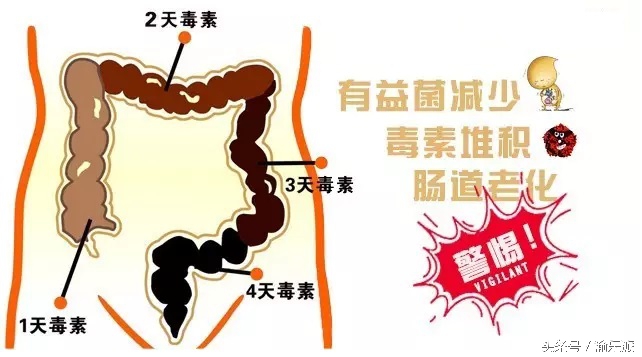 你知道吗？重庆人的肠道年龄普遍偏老！