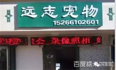 威海最全的宠物店汇总!喵奴汪主人还不速速收藏!