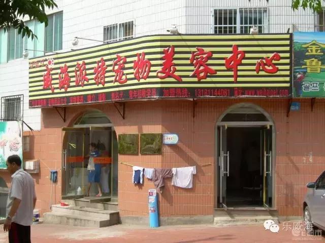 威海最全的宠物店汇总!喵奴汪主人还不速速收藏!