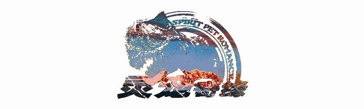 球蟒基因图鉴入门,球蟒基因品系大全