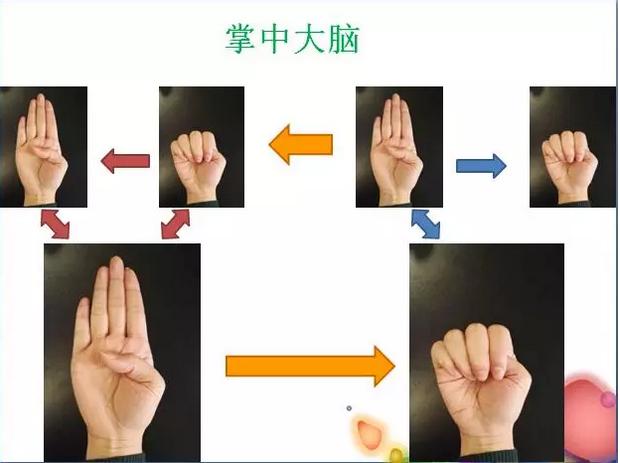 儿童教育专家顾若银老师：正面管教提前学，熊孩子其实挺可爱