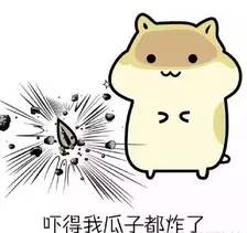 王宝强做亲子鉴定是真的还是假的,王宝强的孩子亲子鉴定是自己的吗