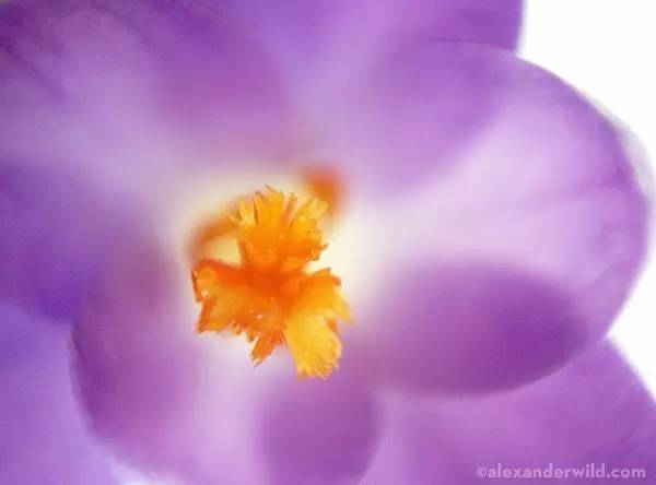 只需要用水就能做出的科学小实验,只用水和纸就能做出的科学小实验