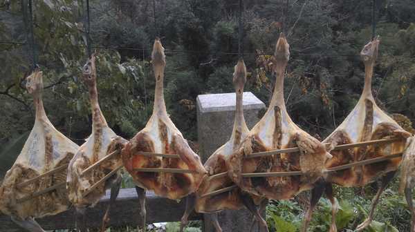南昆山哪里好玩,惠州龙门南昆山