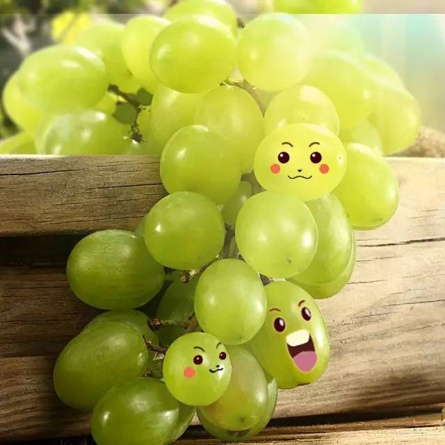 自带花香味的葡萄你吃过吗,吃葡萄不吐葡萄皮的葡萄怎么挑