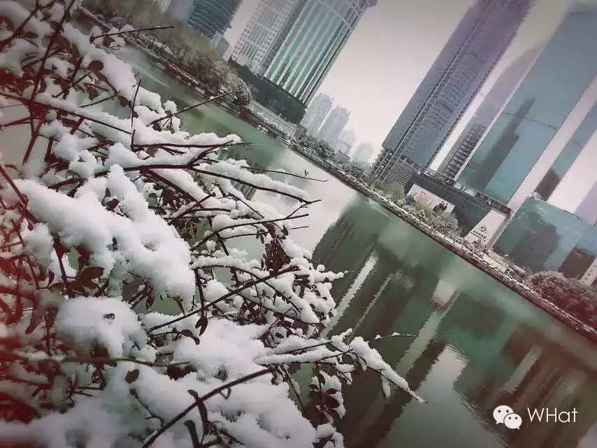 武汉只下一天雪吗,武汉下的是雪吗