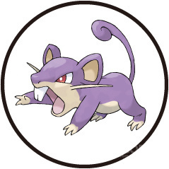 精灵宝可梦卡比兽技能推荐,精灵宝可梦日月对战