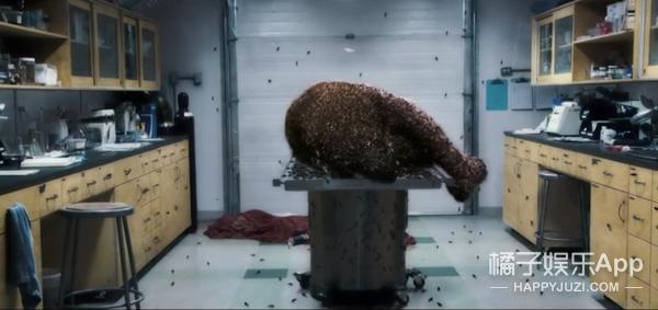 密集恐惧者请绕行,友情提示胆小的朋友请谨慎观看