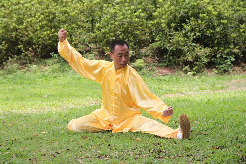 传统太极十三式教学,三丰太极十三式