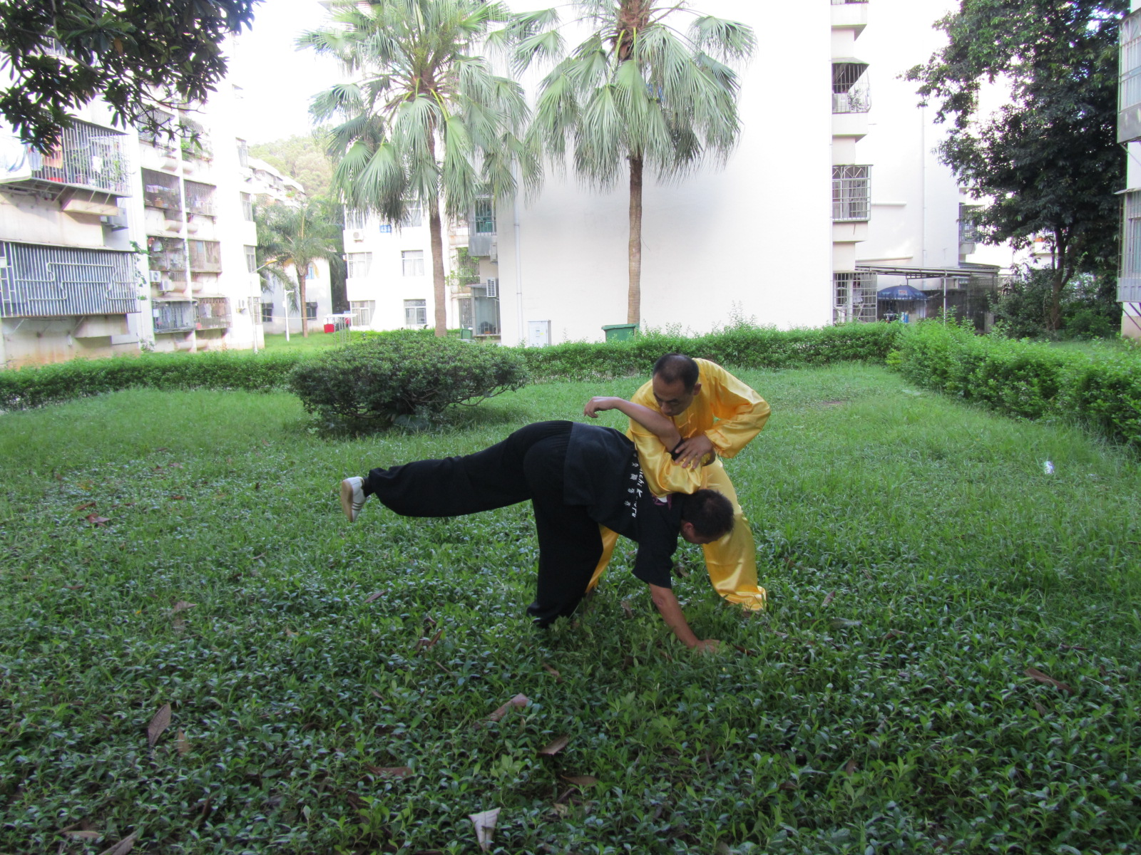 传统太极十三式教学,三丰太极十三式