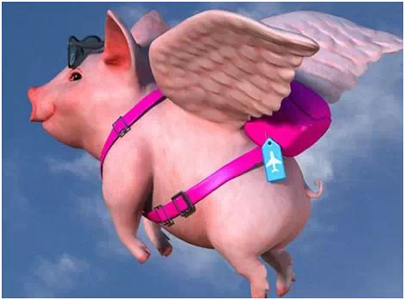 网站、网站、你咋不上天嘞