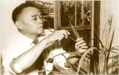 兵荒马乱的年代怎么生存,普通农民子弟怎么样才可以当大官