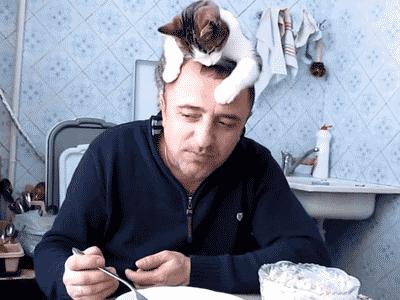 威海最全的宠物店汇总!喵奴汪主人还不速速收藏!