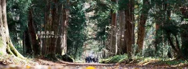 七天东京之旅,东京7天自由行全攻略