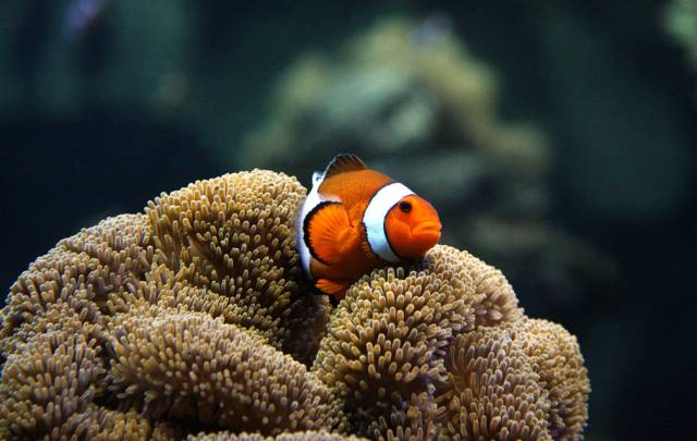 你绝对不知道的iphone强大功能,你可能会忽视的mysql细节