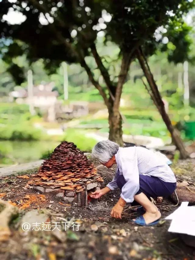 云霄县下河乡七高磜,去云霄不能错过的美食