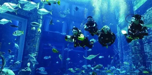 阿联酋对华免费落地签,阿联酋落地签最新通知