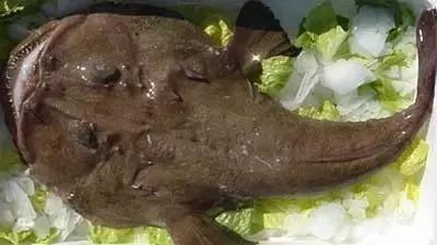 象山石浦渔港古城开渔节,开渔节暨海鲜美食文化旅游节