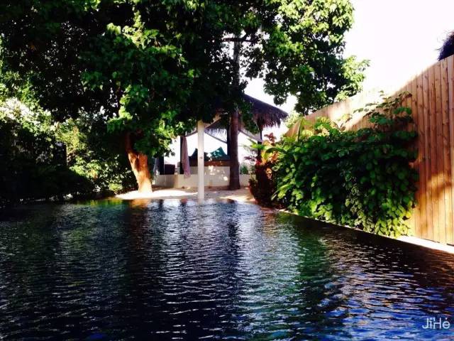 马尔代夫的蜜月岛值得去吗,去马尔代夫度蜜月感受