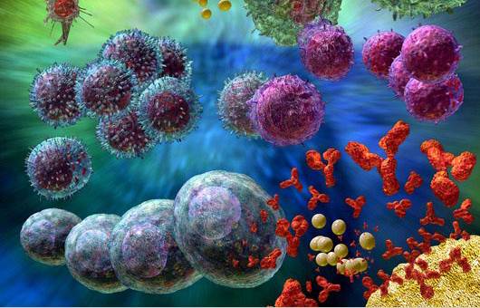 液体活检的“太子”们:ctDNA与CTC