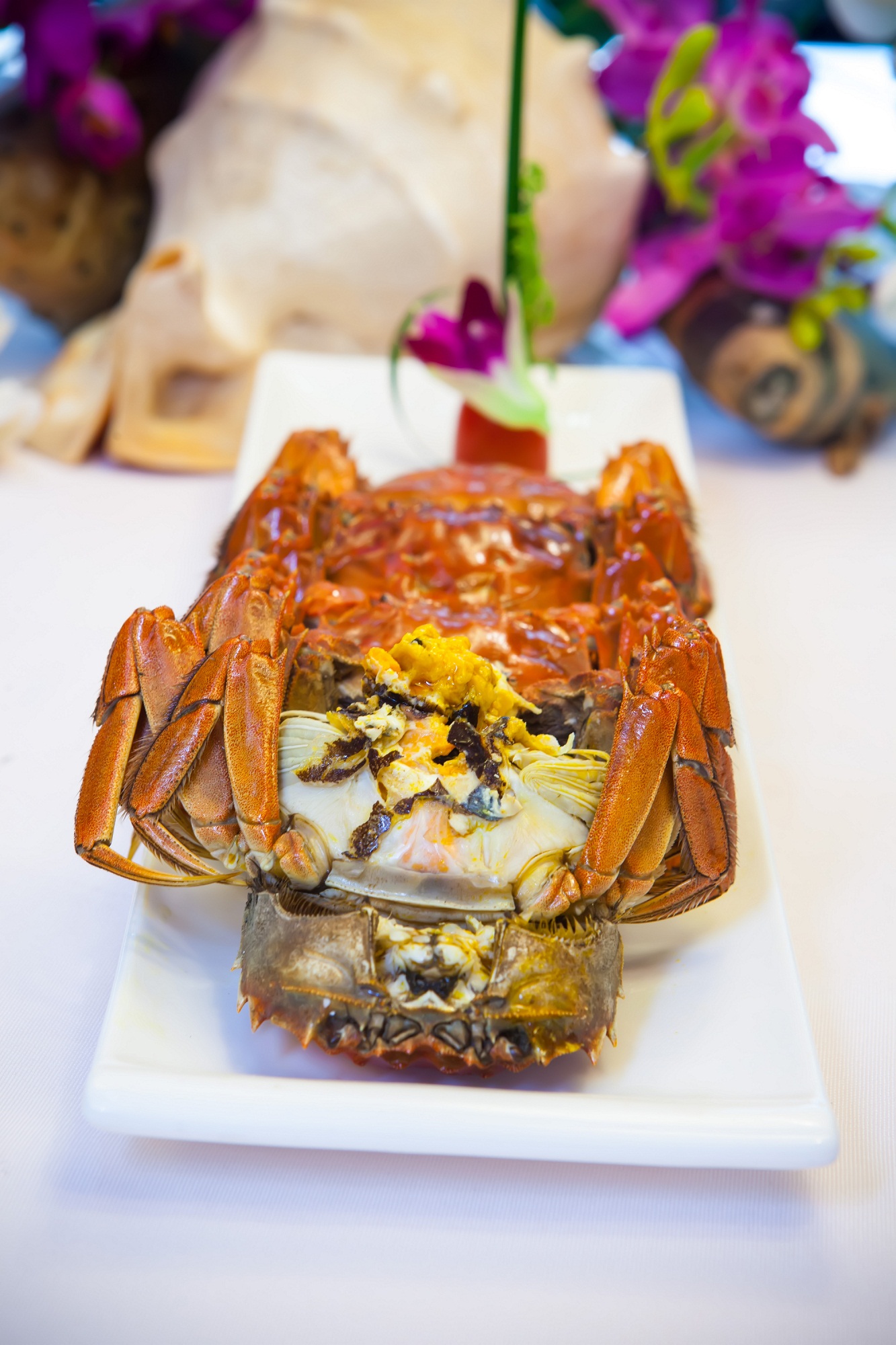 这个秋季，来东营赏红毯，看大黄鸭，品大闸蟹！