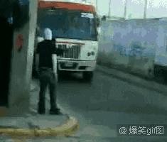 主人害怕虫子,主人怕蜘蛛叫猫咪