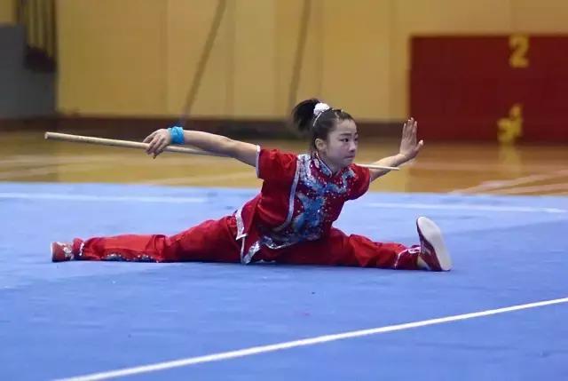 首届武术大会,全国第二届武术节