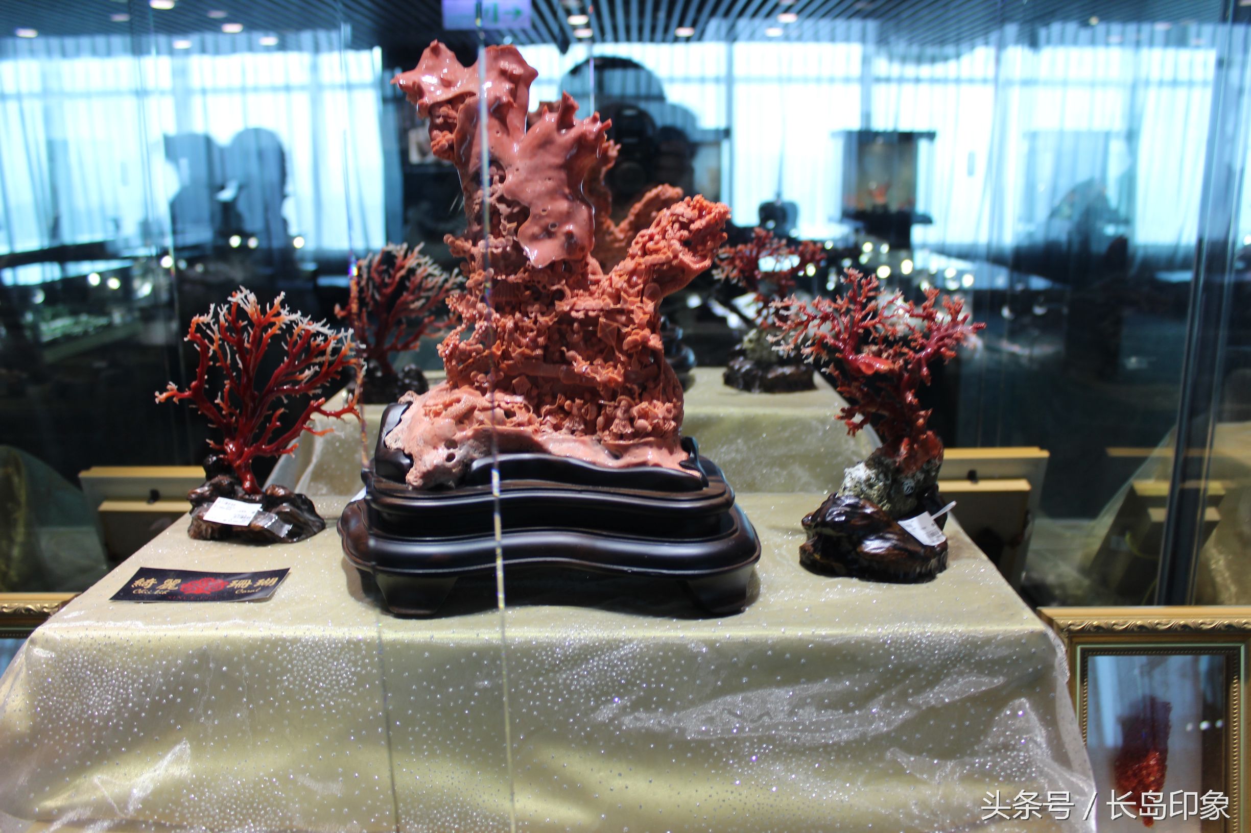 红珊瑚台湾寓意,台湾红珊瑚和日本红珊瑚的区别