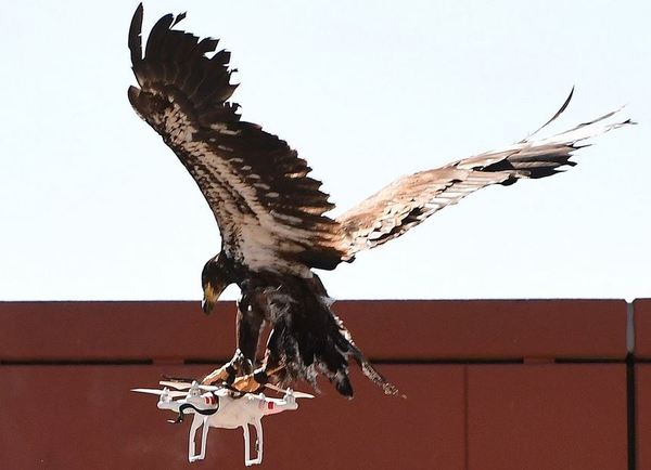 血滴子无人机视频,血滴子现在有吗