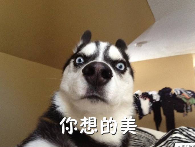 好消息信用卡提额,好消息信用卡