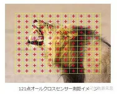 Photokina快讯|一山还比一山高(机身篇)