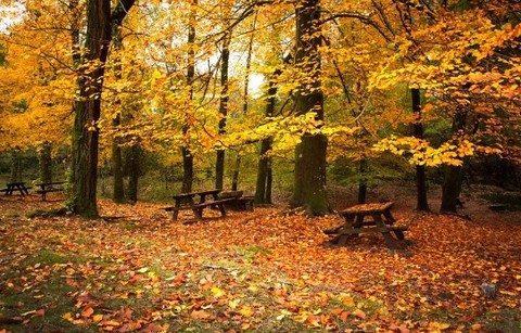 丹姿净化清颜补水好吗,秋冬肌肤进补这些技能你get了吗