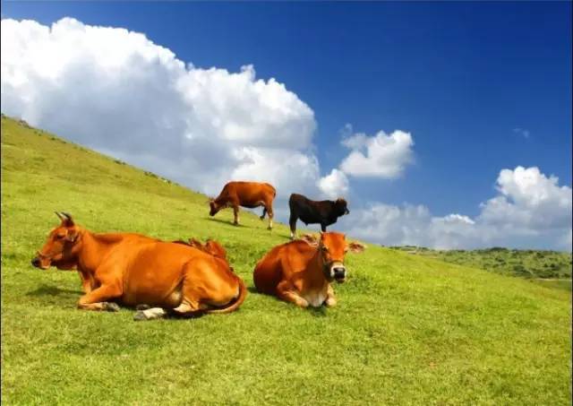 周末去哪玩推荐几个地方福清万达,福清去哪里旅游最好