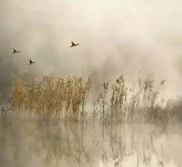 爱银川爱生活明天将迎“白露”全年昼夜温差最大节气