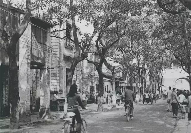 30年前东莞图片,30年前东莞打工老照片