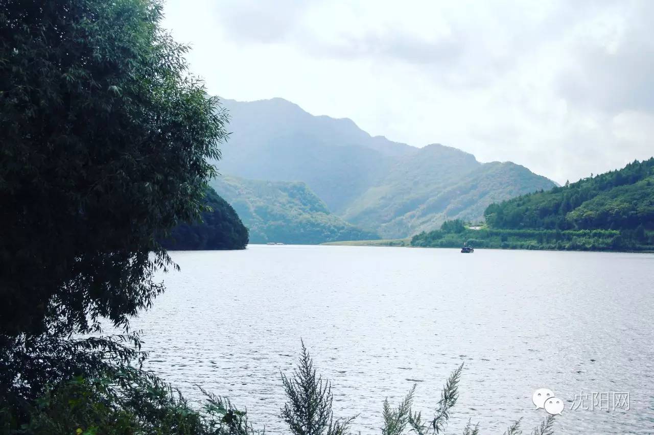 离沈阳45公里，竟隐藏着一种绝世美味！秒杀河豚大闸蟹！外地人都吃疯了，沈阳人还不知道！