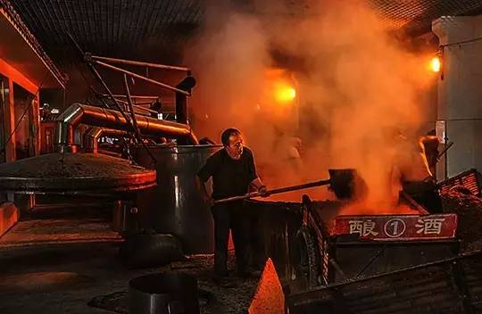 金华电大免费农民培训第一波福利来啦!300个名额,等你来抢!