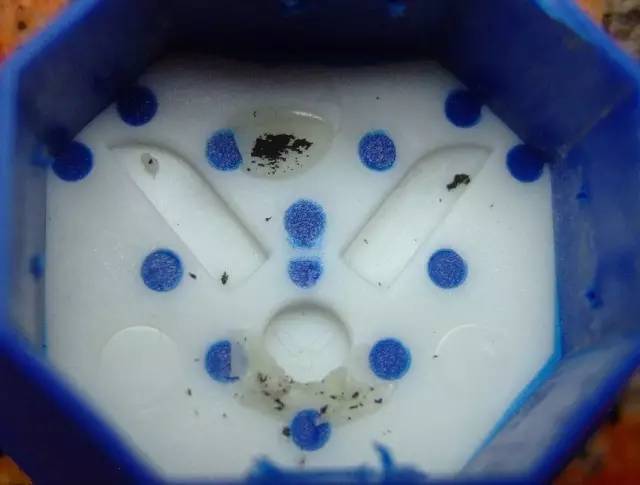 胜利羽毛球鞋底鉴别真伪,羽毛球拍参数讲解