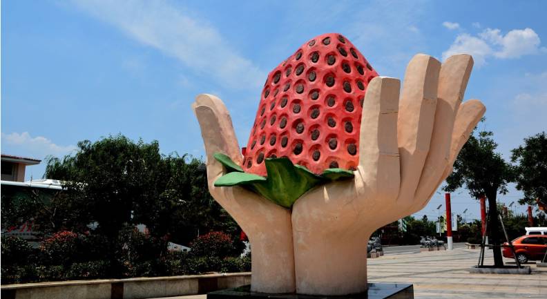 山东今后发展规划,不得了山东话