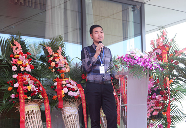 印度半导体芯片,印度半导体