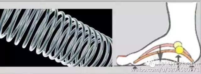 扁平足矫正训练法,扁平足物理治疗能不能恢复足弓