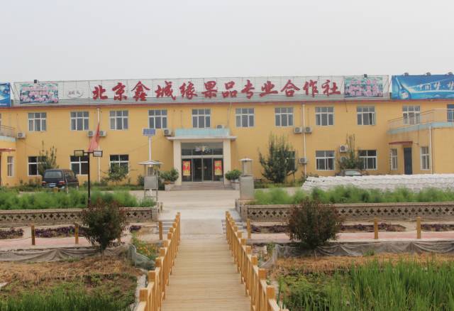 昌平区农业示范园采摘苹果,北京昌平苹果最佳采摘期