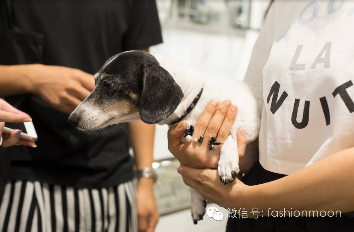 参考答案|如何拥有一只别人都没有的包